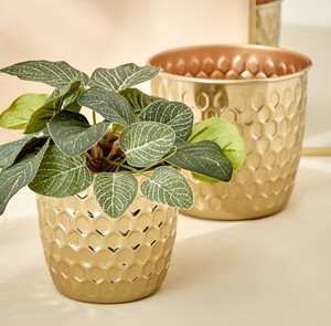 ชาวไร่โลหะสีทองสำหรับตกแต่งบ้านดีไซน์ใหม่สำหรับปลูกต้นไม้สีเขียวและจัดแสดงดอกไม้ - Product Image 2