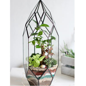 Terrario geométrico Vidrio transparente Latón Borde pesado Acabado en negro Tamaño personalizado Hogar Oficina Decoración de mesa Mini jardín - Product Image 2
