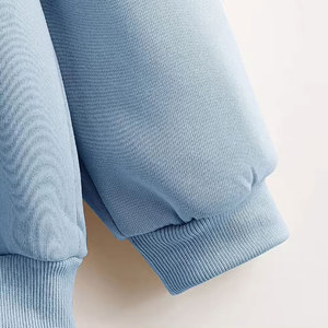Vente en gros 100% sweats à capuche en molleton de coton à manches longues coupe ajustée style décontracté meilleur prix bas hiver solide à capuche pour hommes et femmes - Product Image 3