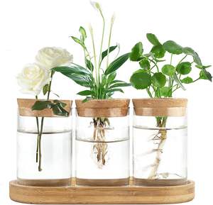 Terrarium <span class=keywords><strong>de</strong></span> propagation des plantes, station <span class=keywords><strong>de</strong></span> plantation en verre <span class=keywords><strong>de</strong></span> bureau, vase en verre pour plantation aquatique avec couvercle et support en bois, décoration <span class=keywords><strong>de</strong></span> bureau, 3 pièces - Product Image 1