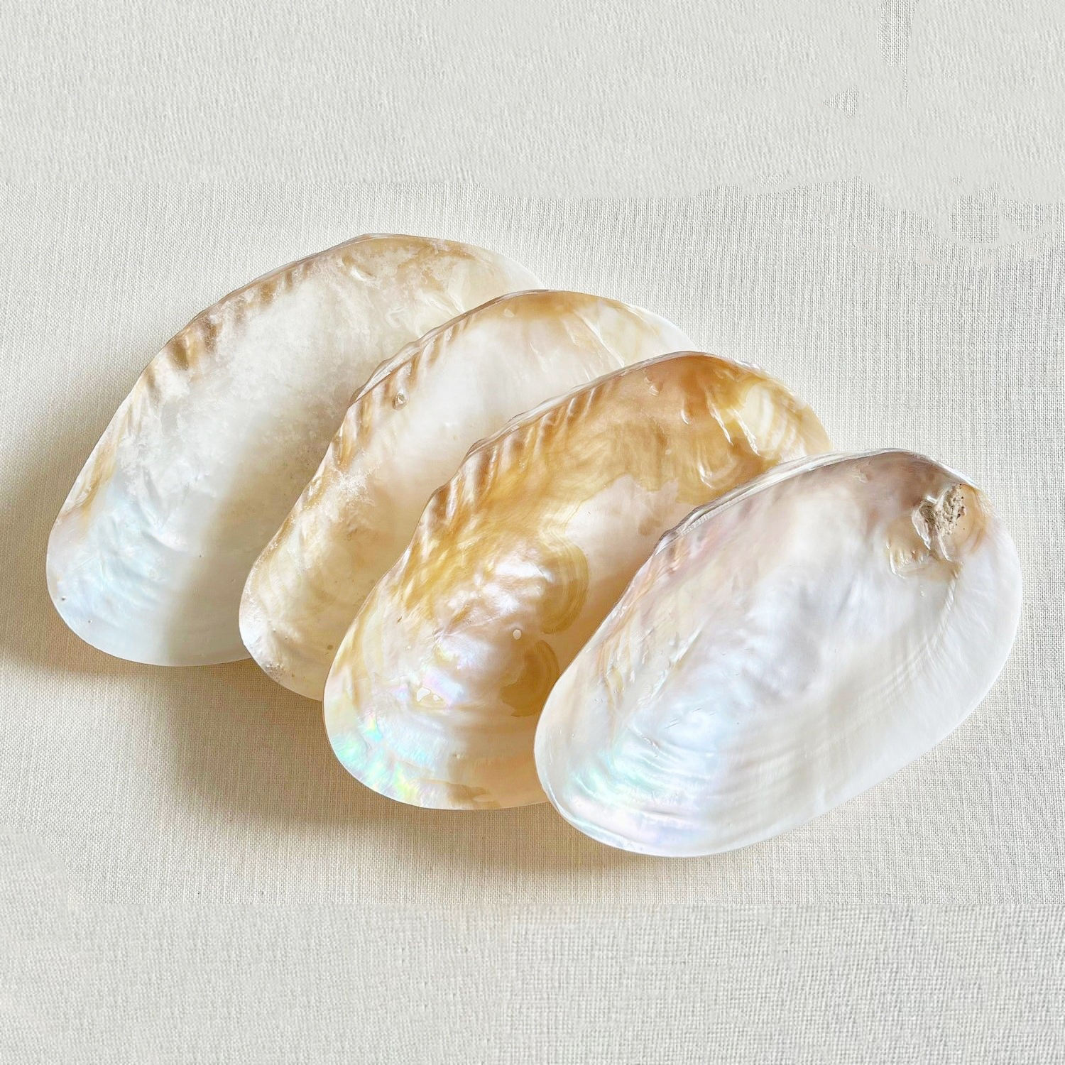 ธรรมชาติ