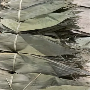 Venda por atacado seca zongzi folha de bambu material ecológico grande com preço competitivo no vietnã