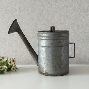 Arrosoir galvanisé à longue portée avec tête en laiton et bec étroit allongé pour les plantes - Product Image 6