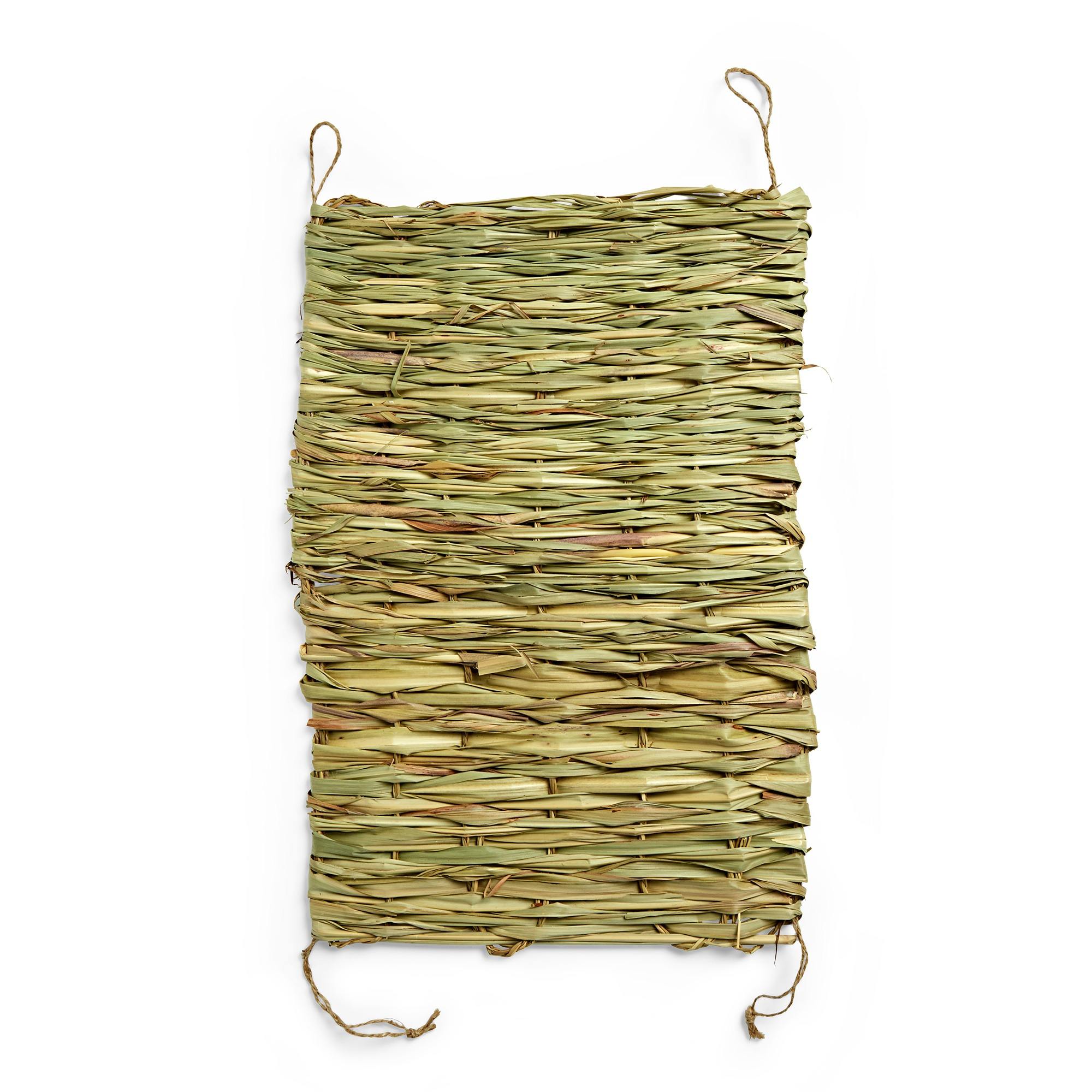 ธรรมชาติ