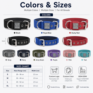 Coleira de Cão de Nylon Personalizada com Logo, Acolchoamento Macio em Neoprene, Fivela de Metal Ajustável, 3 Cores, Acessórios para Animais de Estimação em Atacado - Product Image 5