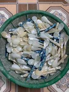 Cuchara de Nácar de Vietnam, Natural, Brillante, Hecha a Mano, Envíos al por Mayor, Ideal para Abastecimiento Internacional - Product Image 2