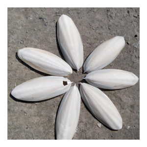 Alimento para mascotas-Blister hueso de Sepia/hueso de sepia seca/hueso de sepia de Vietnam de alta calidad-Caryln - Product Image 6