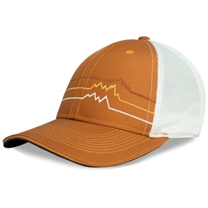 Casquette de camionneur en maille personnalisée en gros - Coton/Polyester Respirant Été Sports de plein air Promotionnel Haute qualité Unisexe - Product Image 1