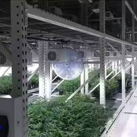 Système de culture hydroponique NFT vertical multicouche mobile d'intérieur, contrôlé par PLC, avec pompe et moteur automatiques pour la culture du chanvre