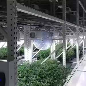 Sistemas de Cultivo Verticales Móviles para Interiores, para el Cultivo de Cáñamo - Product Image 5