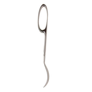 Haute Qualité 270mm Lane Os Levier Pleine Courbe Orthopédique Anneau Poignée 10mm Large Allemand En Acier Inoxydable Chirurgical Medic Instrument - Product Image 3