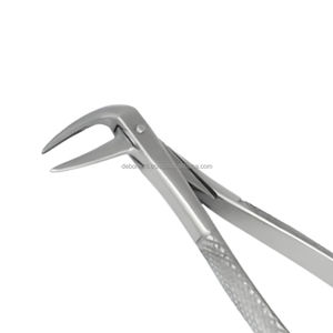 Forceps d'extraction dentaire en acier inoxydable de haute qualité, pinces à racines manuelles, instruments chirurgicaux stérilisés, certifiés CE classe I - Product Image 4
