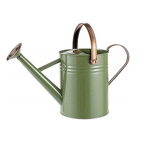 Proveedor y Fabricante de Regaderas Metálicas, Regadera Galvanizada de Diseño Nuevo Personalizada, Venta al por Mayor - Product Image 1