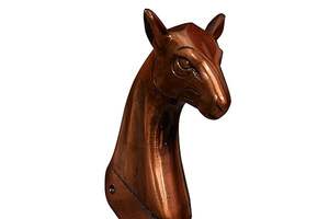 Poignée de porte en métal en aluminium haute résistance avec poignée antidérapante au design animal pour entrées à fort trafic pour prix de vente à l'exportation - Product Image 2