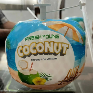 NOIX DE COCO FRAÎCHE JEUNE COUPE DE DIAMANT NOIX DE COCO VIETNAM SUPER QUALITÉ EXPORTATION - Product Image 3