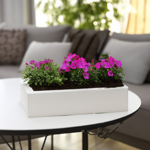 CBR1273WT - White Long Rectangle - 12x7x3 - Product Image 6