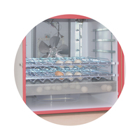 Incubateur automatique MAINO INDUSTRIES, fabriqué en Italie, matériaux de haute qualité, 450 œufs de poule, PRO 450, 220V, taux d'éclosion de 97%