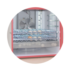 Incubatore automatico di materiali di alta qualità Made in Italy 450 uova di gallina PRO 450 D attrezzature per pollame - Product Image 2