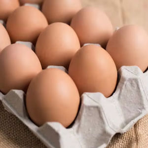 Œufs de poule biologiques frais de première qualité, œufs de table bruns et œufs fécondés, disponibles en vrac - Product Image 1