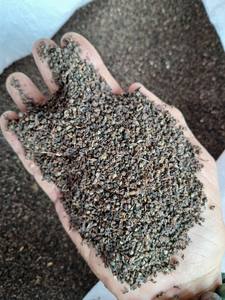 Poivre noir séché épicé de haute qualité VILACONIC MR THOMAS BP01, procédé AD, origine Vietnam, épices et herbes uniques, exportation économique - Product Image 3