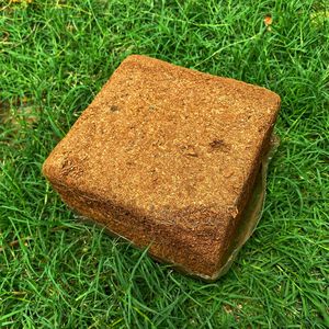 ACCENT Eco-Friendly Coco <b>Peat</b> 5kg Blocks (Natural Brown 30x30x14cm) for Garden & Agriculture in India - Product Image 3