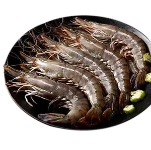 Best Quality Fresh Frozen Vannamei White Shrimp For Sale at Best Wholesale Price