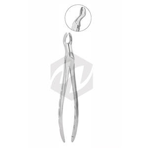 Forceps dentaires de qualité supérieure, manche fantaisie, acier inoxydable allemand, forceps d'extraction dentaire / pinces dentaires - Product Image 4