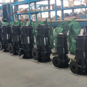 Heavy Duty Cast Iron Sewage <b>Pump</b> for Municipal Drainage System - Product Image 6