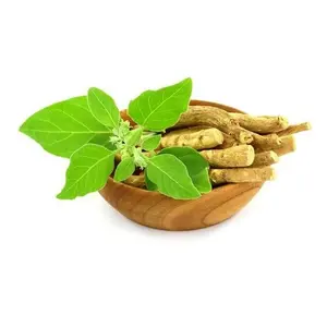 热卖Ashwagandha Ashwaganda根粉提取物2.5% 5% 与ania Somnifera提取物粉