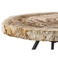 Table basse fossile naturelle Meubles design de salon finition antique pour la maison et les hôtels, les restaurants et le bois naturel