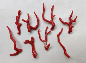 Wow.82 Cts 100% Piedra preciosa de coral rojo italiano natural Rama suelta Pulido AAA + Calidad Coral Stick Piedras preciosas lisas - Product Image 4