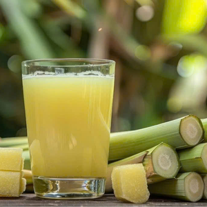 ¡Calidad! Palitos de caña de azúcar CONGELADOS | Frescura conservada y dulzura natural - Product Image 6