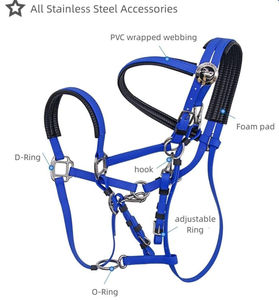 Brida de caballo ecuestre de lujo Logotipo personalizado Tamaño Transpirable Charol Top Fabricante mayorista indio - Product Image 2