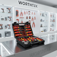 Jeu de tournevis isolés certifiés VDE Worthtek, étui rigide, personnalisable OEM pour composants électroniques, comprend des pinces et un testeur de tension