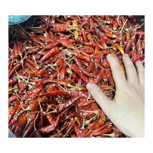 Chili séché Chili rouge épice de pointe au Vietnam Emballage à chaud style cuisson couleur alimentaire Chili herbes poids À partir de 99 données d'or - Product Image 3