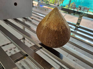 Venta superior cocos frescos productos de coco semi descascarillado fruta seca Coco semi descascarillado de Vietnam - Product Image 4