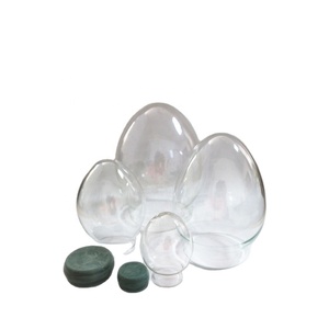 Kit Fai-da-Te per Sfere di Vetro a Forma di Uovo con Neve, Cupola Ovale in Vetro Trasparente, Decorazione per la <span class=keywords><strong>Casa</strong></span> <span class=keywords><strong>e</strong></span> Idea Regalo - Product Image 1