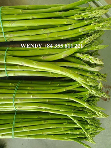 Asperges fraîches 100% naturelles de haute qualité en stock en vrac prix de gros bon marché - Product Image 5