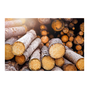 MADERA DE PINO/viga de pino - Product Image 3