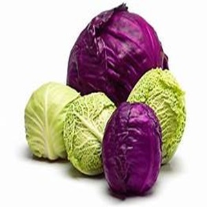 COMPRE Verduras crucíferas Repollo fresco para uso culinario e industrial a precios a granel - Product Image 2