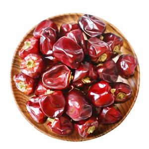 Chiles Redondos Secos Orgánicos de la India a Granel para Aplicaciones de Condimento Masala a Precio de Fábrica - Product Image 4