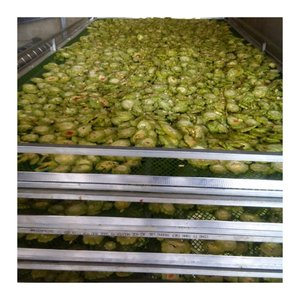 100% fette di zucca amara naturali essiccate all'aria ideali per tè disintossicanti, ricette tradizionali a base di <span class=keywords><strong>erbe</strong></span> e quotidiane - Product Image 3