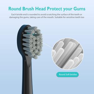 Tannin Stain Eraser <b>Round</b> Toothbrush Head Refills Generic for Oral Bs Electric <b>Brush</b> Heads Wholesale OEM Factory - Product Image 3