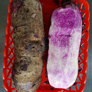 VIETNAM FRESH YAM MORADO NATURAL ALTA CALIDAD PRECIO COMPETITIVO - Product Image 2
