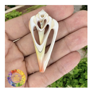 Craft Ready Spiral Seashell Slices Beach Decor Supply Bulk - Product Image 1