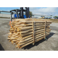Estacas de madera de alta resistencia Postes de madera puntiagudos para esgrima Jardinería y paisajismo Suministros de jardín