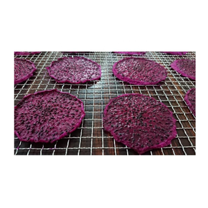 Fruits du dragon séchés de 99 Gold Data Vietnam pour les mélanges de salade de fruits et les collations emballées fruits du dragon séchés en tranches - Product Image 1