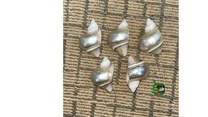 Servilletero de concha marina hecho de madre de perla concha marina para mesa de comedor costera de lujo para el hogar Vietnam - Product Image 3