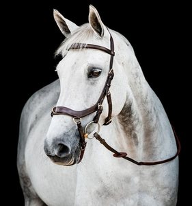 Micklem 2 Multi Bridle Freedom Hot Multi Color Cuero genuino Horse Brida Tamaño Completo Venta al por mayor nueva Alta calidad - Product Image 3