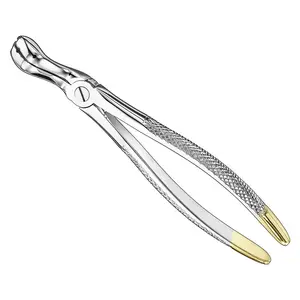 Dental Extracting Forceps Gold Handle English and USA Pattern made with high grade stainless steel available in factory price.